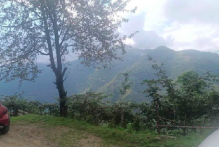 GİRESUN BULANCAK'TA 4.652 M2 SATILIK FINDIK BAHÇESİ